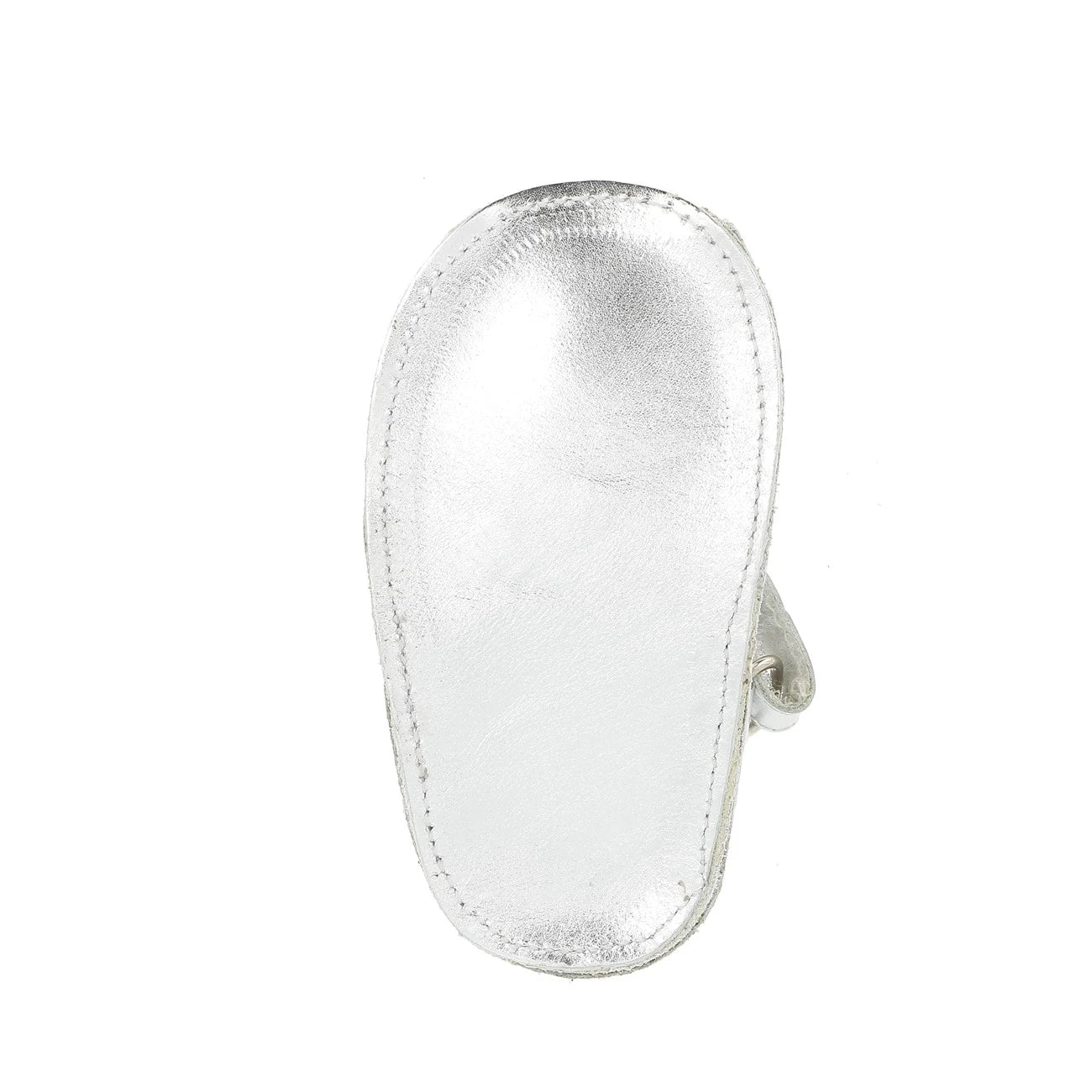 Lagartija bebé de Frailera Plata