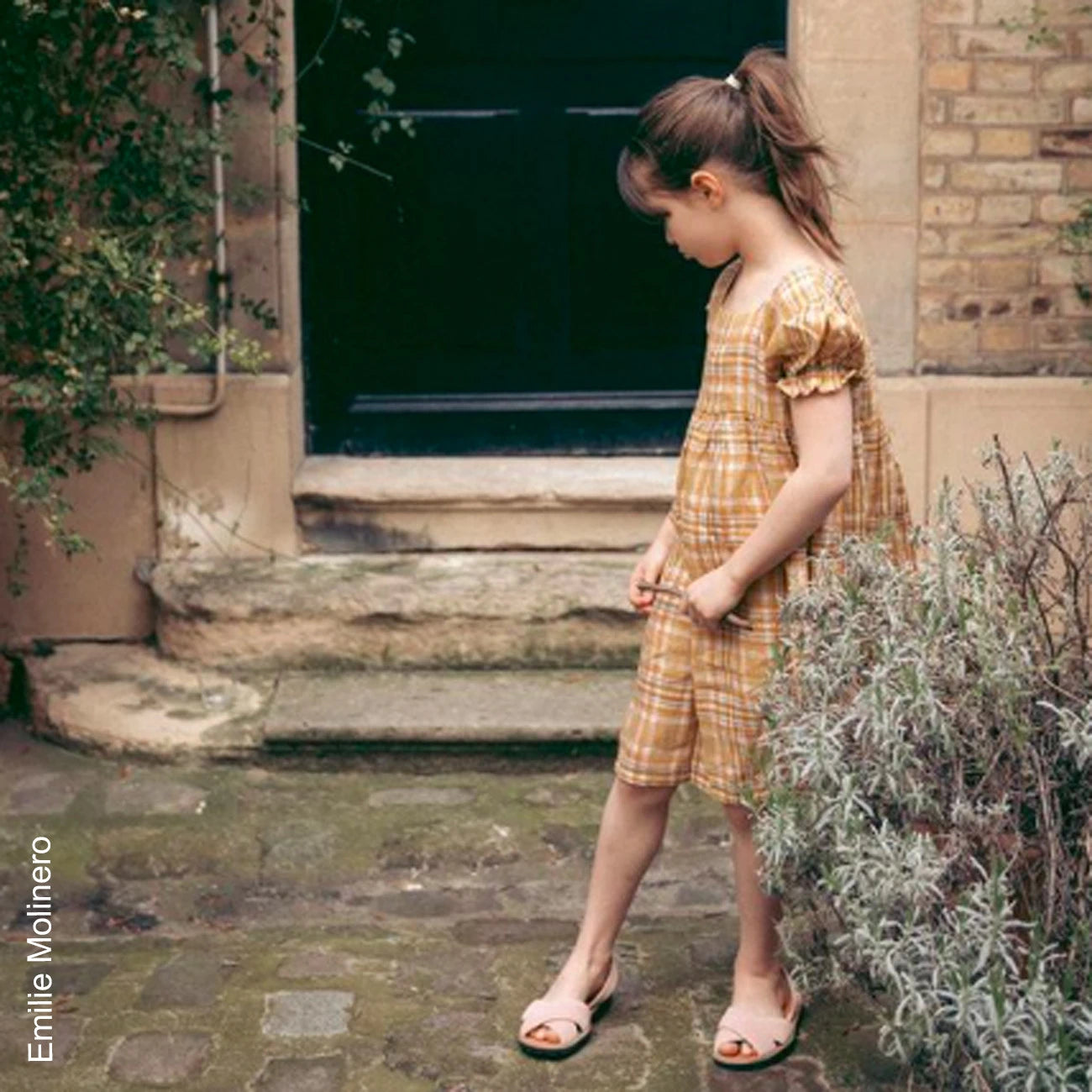 Avarca Berlin Velours Rose